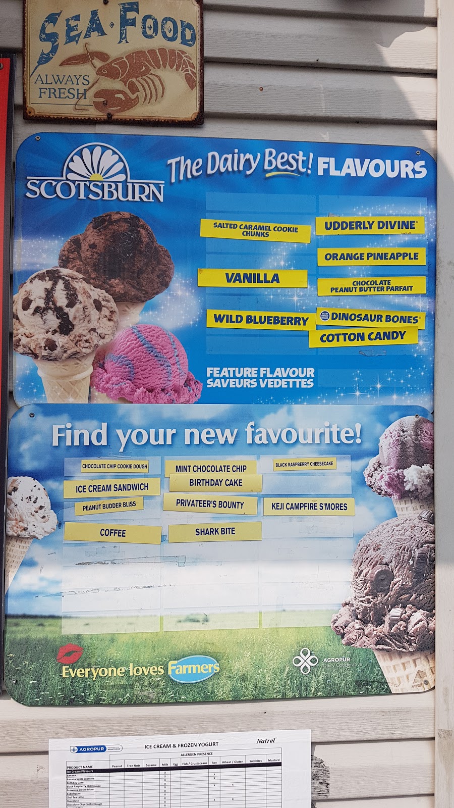 Whats the Scoop Takeout | 63 Government Wharf Rd, Eastern Passage, NS B3G, Canada | Phone: (902) 444-7132