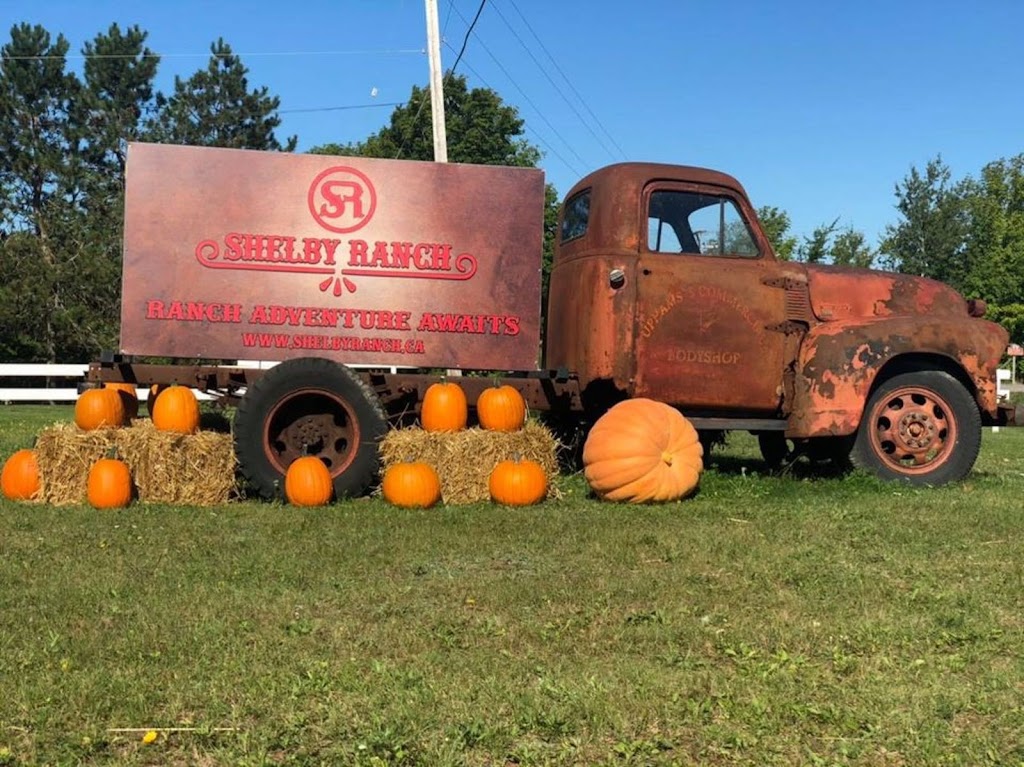 Shelby Ranch Glamping | 753 Durham Rd, Scotsburn, NS B0K 1R0, Canada | Phone: (902) 957-7433