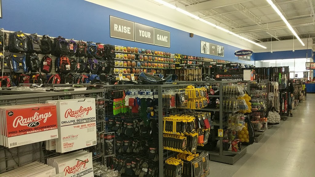National Sports - London | 332 Wellington Rd, London, ON N6C 4P6, Canada | Phone: (519) 858-3181