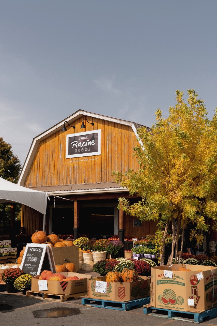 Le kiosque Racine | 537 5e Ave, Sainte-Anne-des-Plaines, QC J0N 1H0, Canada | Phone: (450) 478-0457 ext. 5