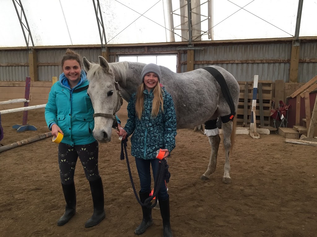 Destiny Equestrian Complex | 4088 5th Line, Innisfil, ON L9S 3L4, Canada | Phone: (416) 566-3741