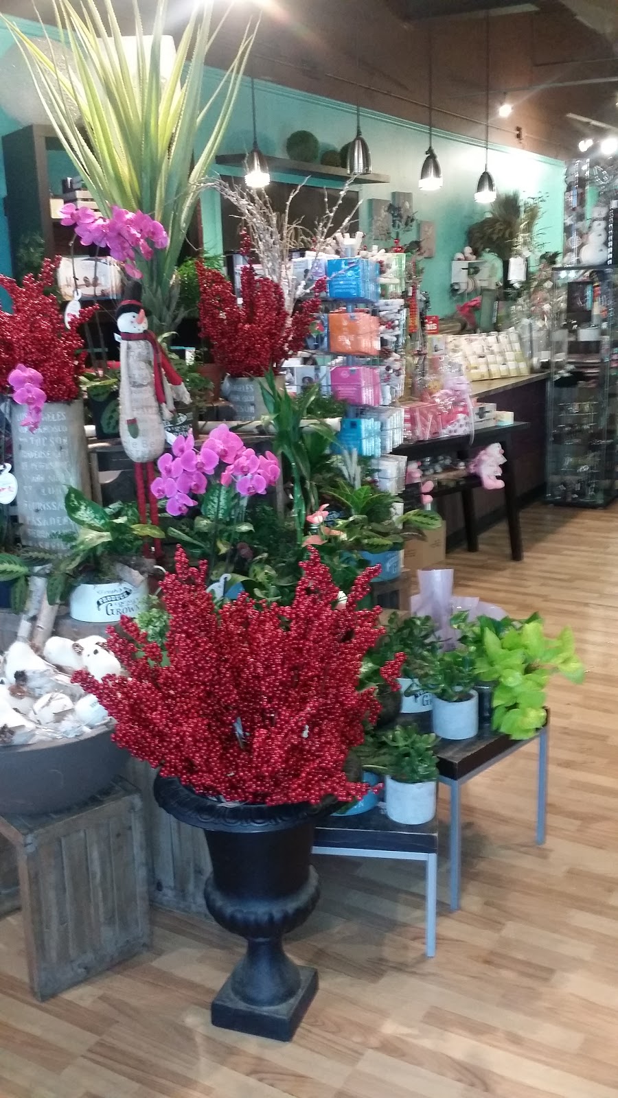 Hypnotic bloom | 10931 23 Ave NW, Edmonton, AB T6J 7B9, Canada | Phone: (780) 466-9111