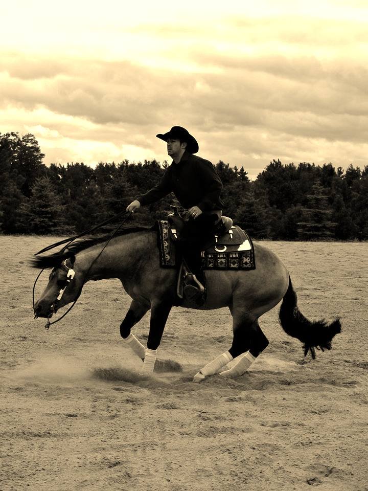 Epis Performance Horses | 14150 McLaughlin Rd, Caledon, ON L7C 2B3, Canada | Phone: (226) 920-5723
