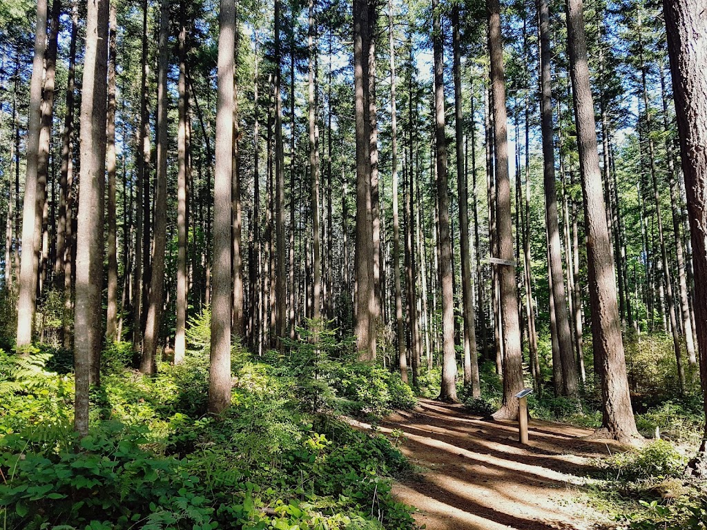 Northeast Woods | Colby Rd, Comox, BC V9M 4H8, Canada | Phone: (250) 339-2421
