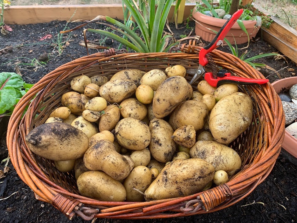 Colwood Garden Society | 3300 Wishart Rd, Victoria, BC V9C 1R1, Canada | Phone: (250) 885-6395