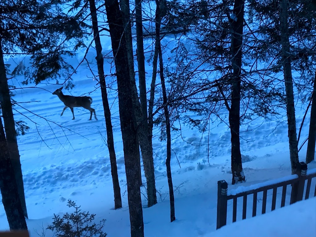Chalet Des Gélinottes | 3257 Chemin des Gélinottes, Labelle, QC J0T 1H0, Canada | Phone: (514) 606-7524