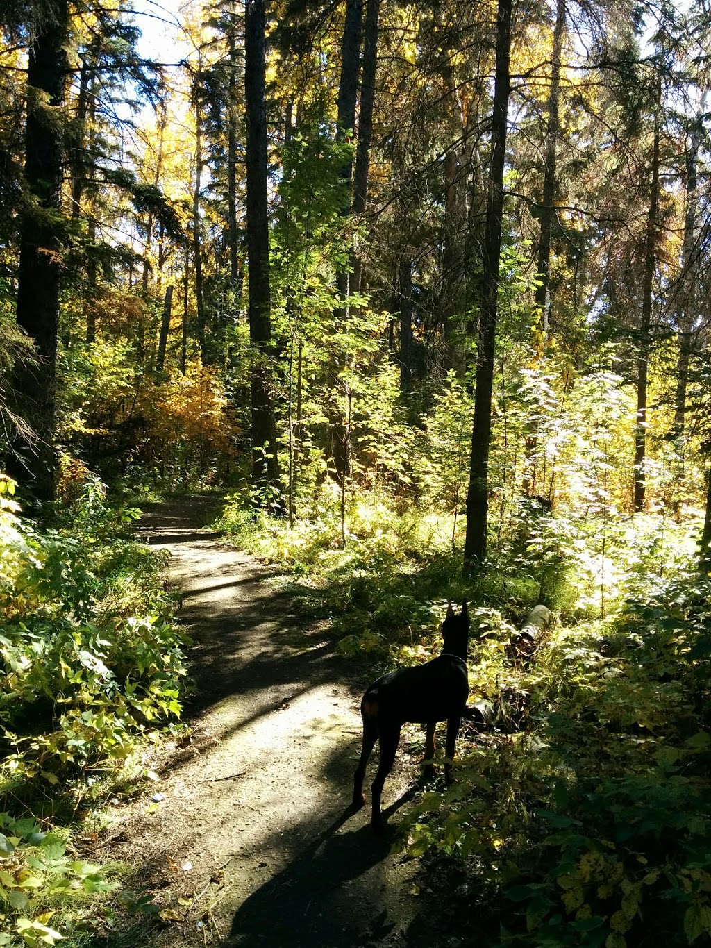 The Grange District Park | 413 Hemingway Rd NW, Edmonton, AB T6M 0J8, Canada