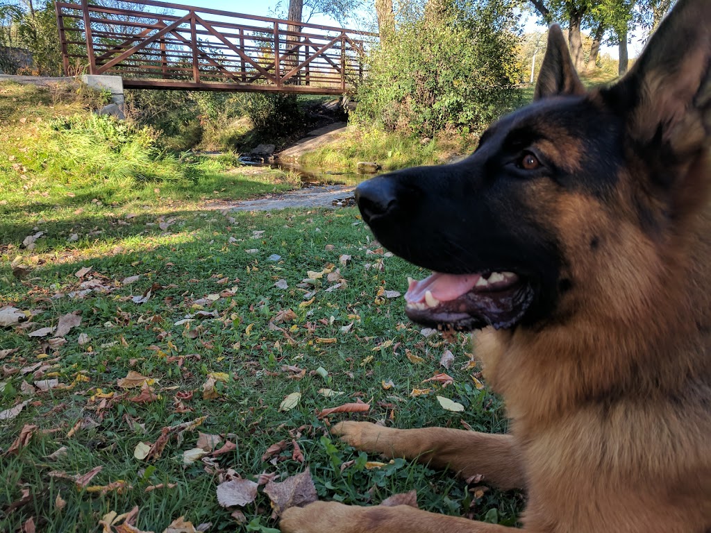 Augusta Street Park | 81 Mercer St, Almonte, ON K0A 1A0, Canada | Phone: (613) 256-2064
