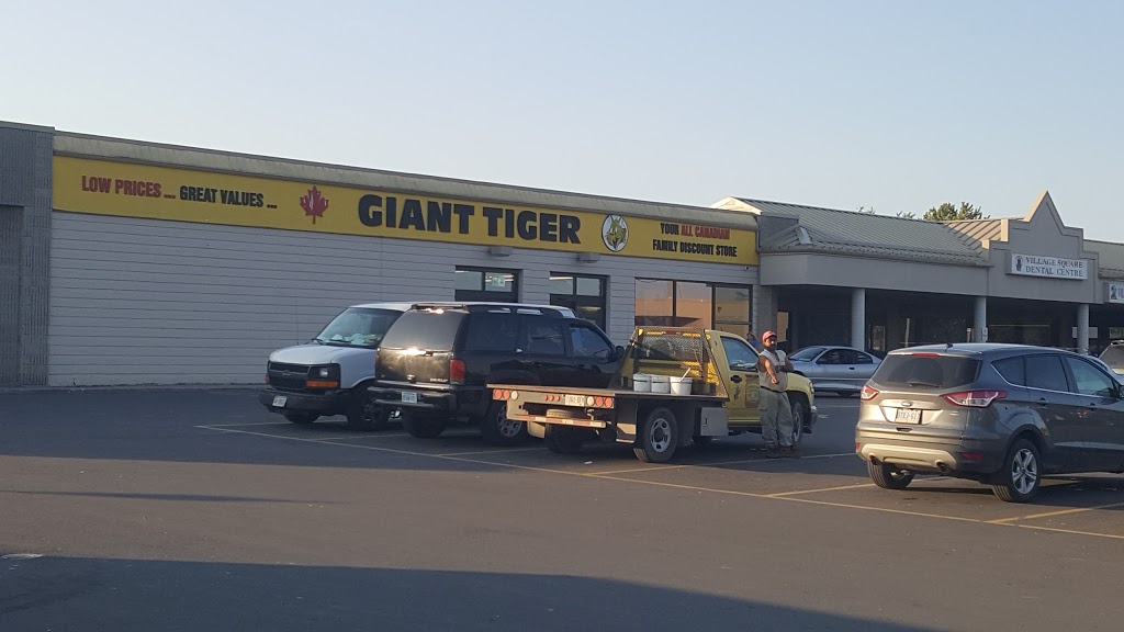 Giant Tiger | 249 St Catharines St Box 219, Smithville, ON L0R 2A0, Canada | Phone: (905) 957-1855