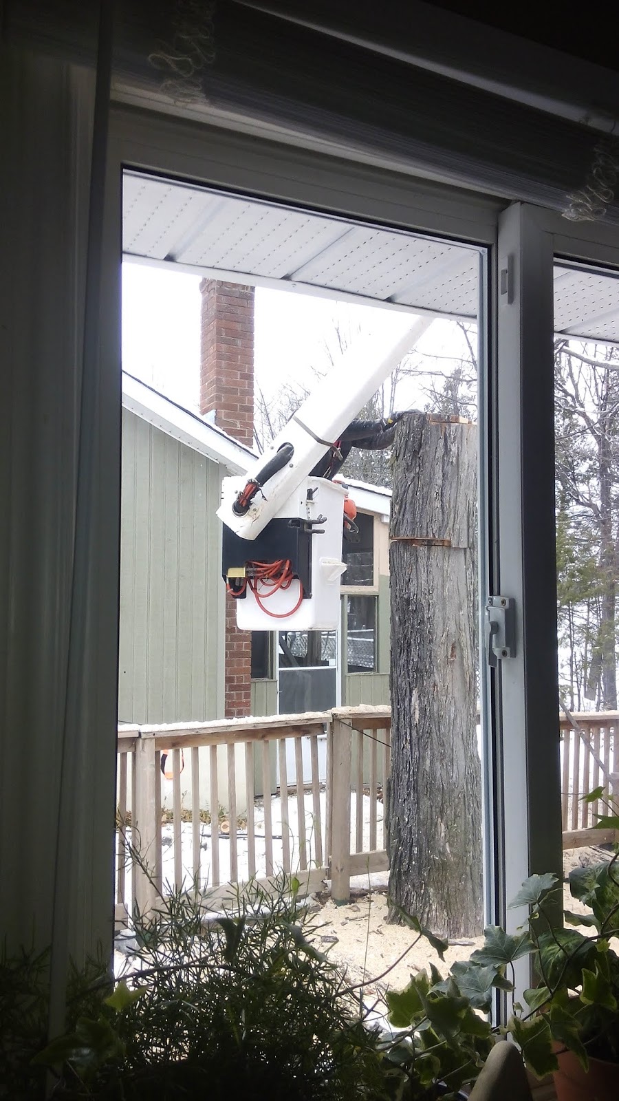 Stittsville Tree Service | 3573 Old Almonte Rd, Carp, ON K0A 1L0, Canada | Phone: (613) 296-9000