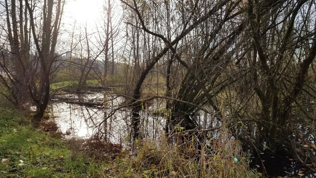 Maplewood Flats Conservation Area | 2645 Dollarton Hwy, North Vancouver, BC V7H 1B1, Canada | Phone: (604) 929-2379