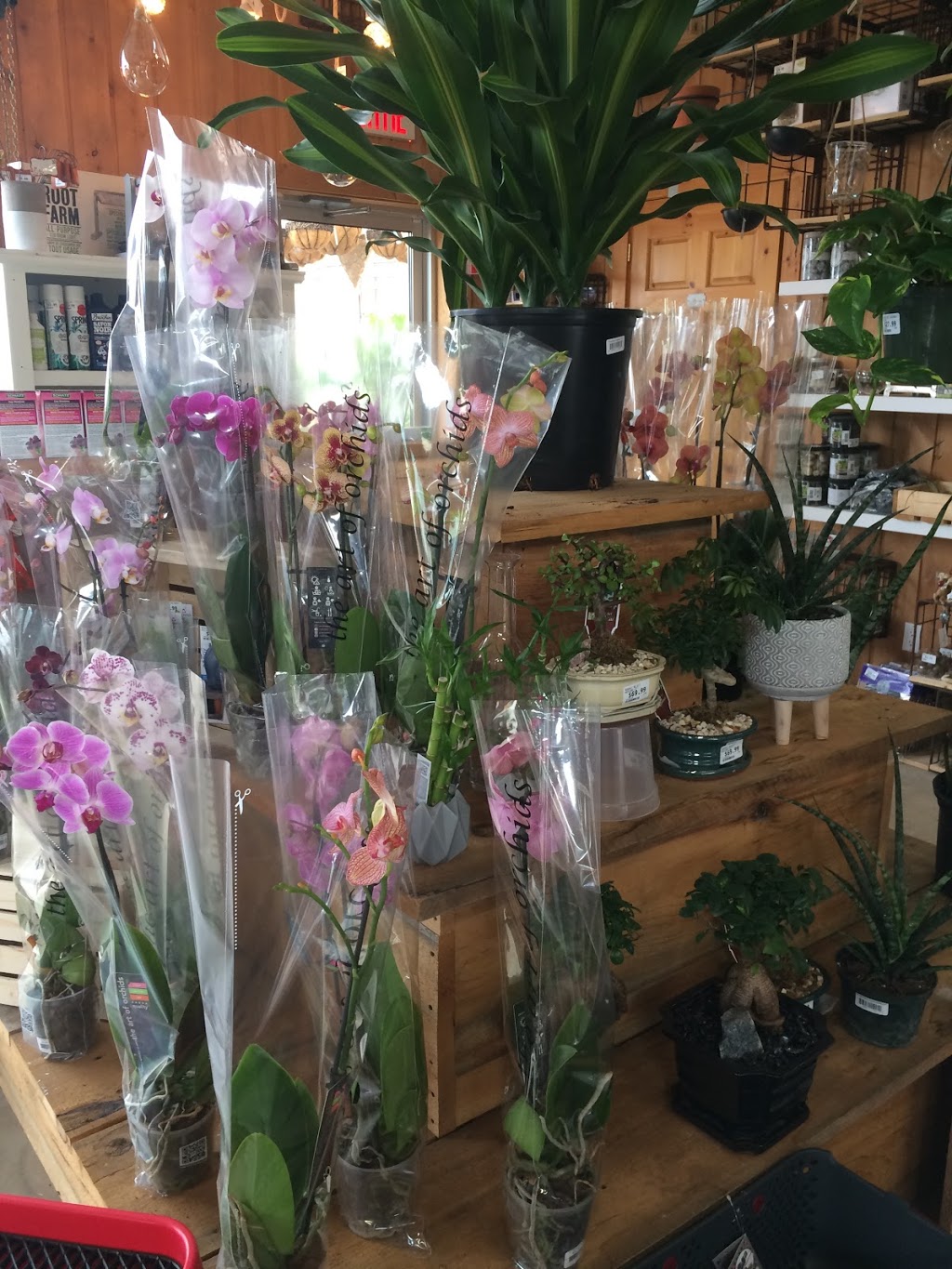 Botanix Faucher Plantes & Pavés Bromont | 15 Chemin des Carrières, Bromont, QC J2L 1S1, Canada | Phone: (450) 534-0033