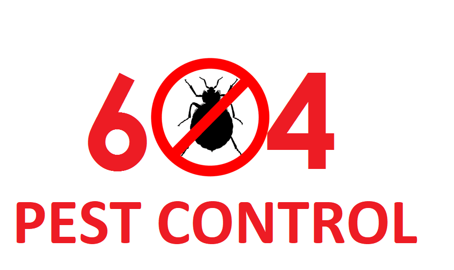604 Pest Control | point of interest | 15562 104 Ave, Surrey, BC V3R 1R4, Canada | 6049062604 OR +1 604-906-2604