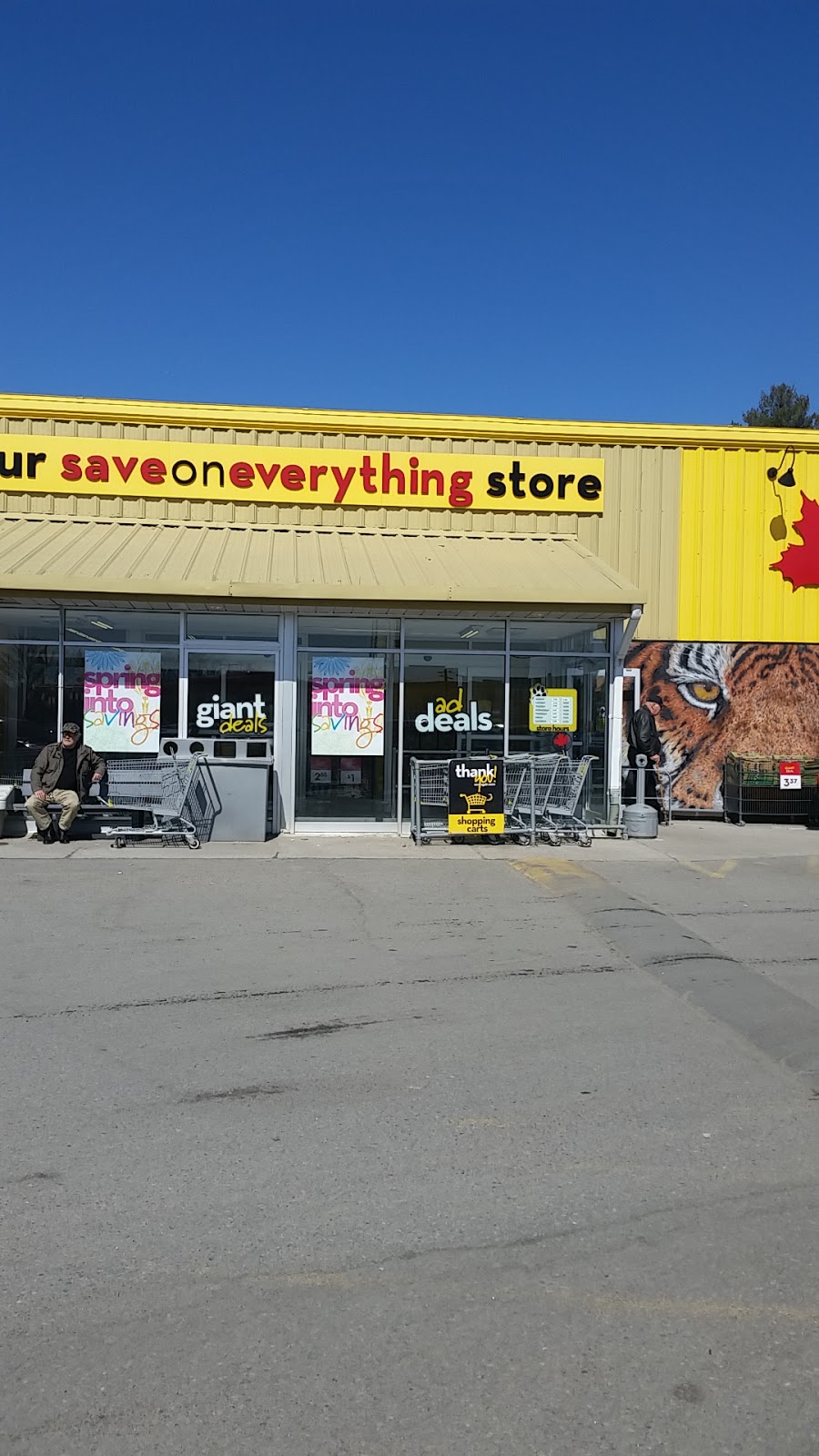 Giant Tiger | 1190 Muskoka Rd S, Gravenhurst, ON P1P 1K9, Canada | Phone: (705) 684-9751