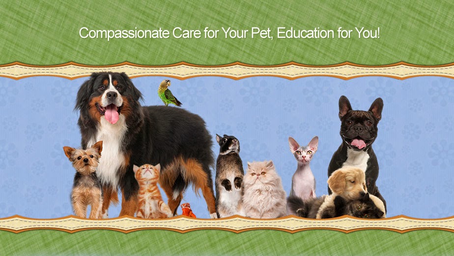Animal Hospital Of River Oaks | 161 Old Upper Middle Rd, Oakville, ON L6H 1M2, Canada | Phone: (905) 338-6257