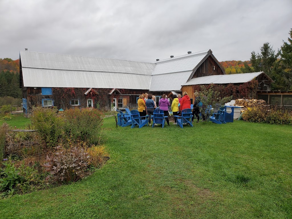 Valérie Martel Coaching | Chem. du Lac Écho, Prévost, QC J0R 1T0, Canada | Phone: (514) 229-8000