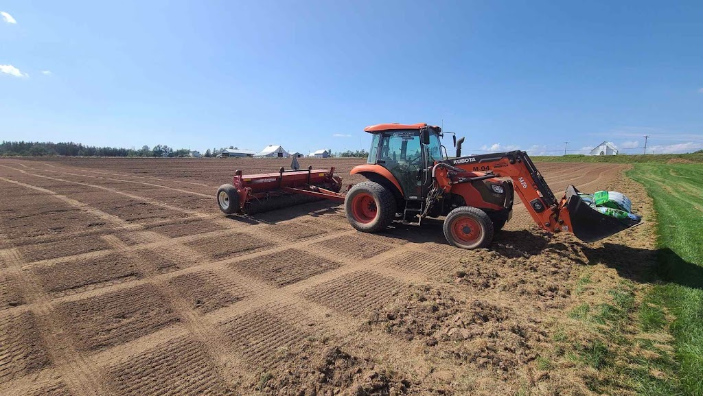 East Coast Turf Ltd. | 537 Charles Lutes Rd, Lutes Mountain, NB E1G 2T5, Canada | Phone: (506) 855-1282