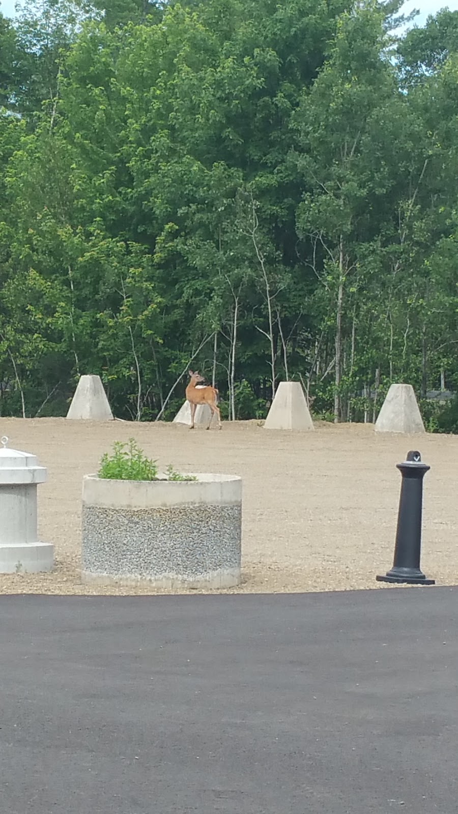 Parc la Baie | 97 Rue de lAnse aux Outardes, Mandeville, QC J0K 1L0, Canada | Phone: (450) 835-2489