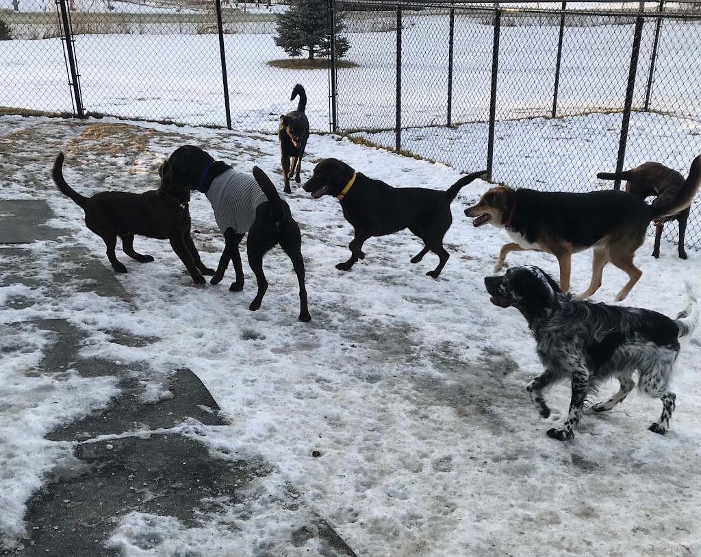 Spa Hôtel Le Canin | 5827 Chem. Beaudette, Sherbrooke, QC J1N 3B8, Canada | Phone: (819) 679-2999
