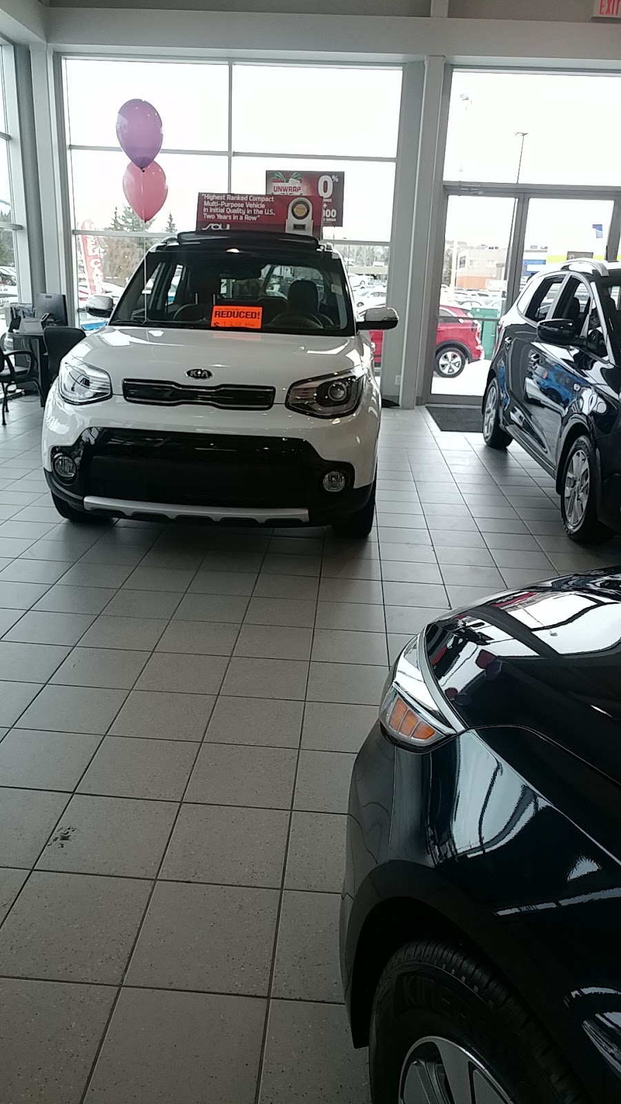Northland Kia | 5100 Shaganappi Trail NW, Calgary, AB T3A 2L7, Canada | Phone: (403) 247-2411