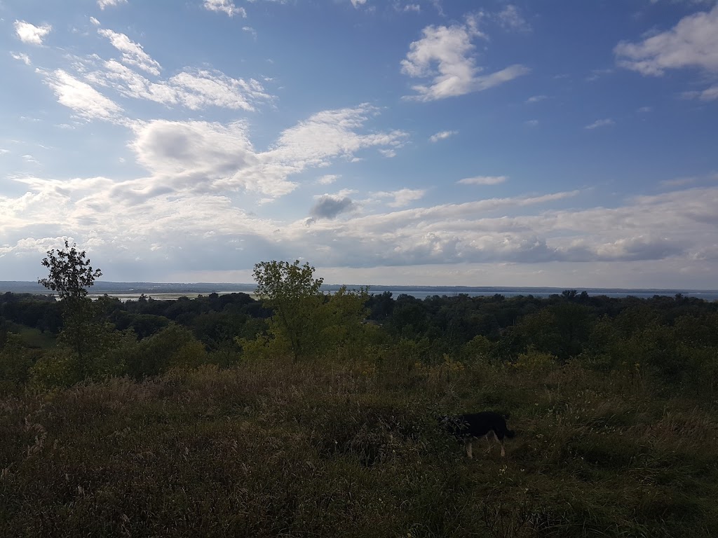 Vista Park | 68 W Park Heights, Keswick, ON L4P 3T9, Canada | Phone: (905) 476-4301 ext. 2354