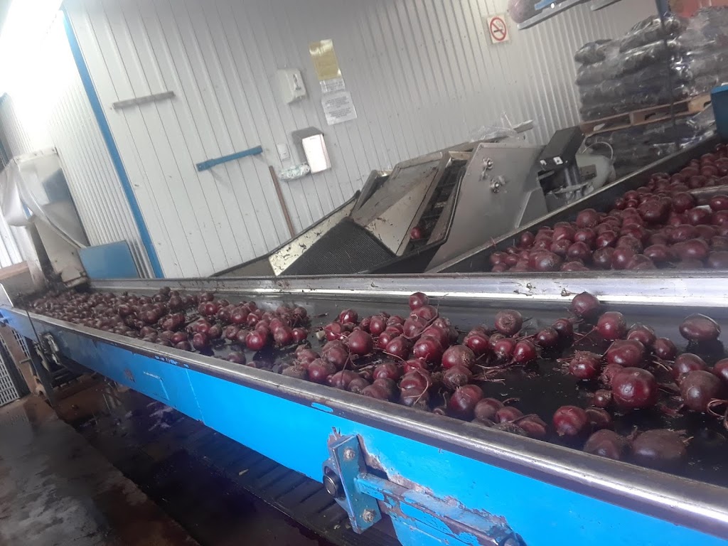 Maraichers Du Ruisseau Inc | 575 Rang du Ruisseau Saint-Jean, Saint-Lin - Laurentides, QC J5M 1Y5, Canada | Phone: (450) 439-6000