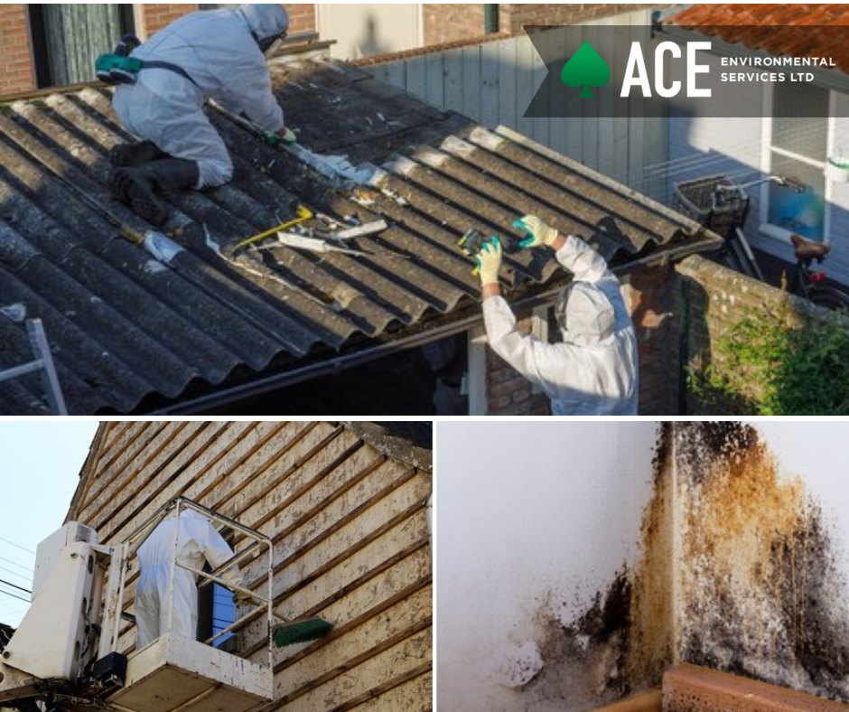 Ace Environmental Services | 5497 Regent St #102, Burnaby, BC V5C 4H4, Canada | Phone: (778) 318-9904