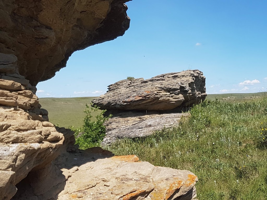 Womens Buffalo Jump | Foothills No. 31, AB T0L 0P0, Canada