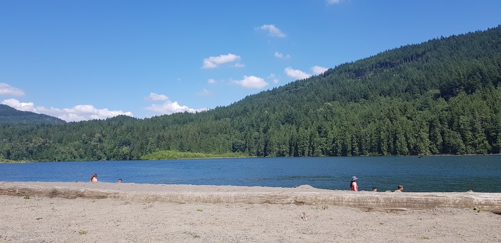 Hayward Lake Dog Beach | Mission, BC V4S 1C4, Canada | Phone: (604) 462-7533