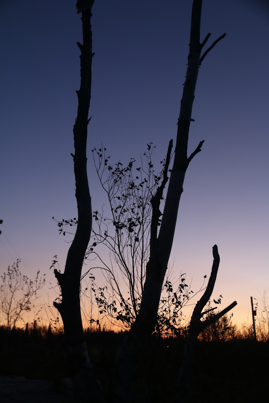 Pauigassi First Nations | Pauingassi, MB R0B 2G0, Canada | Phone: (204) 397-2371