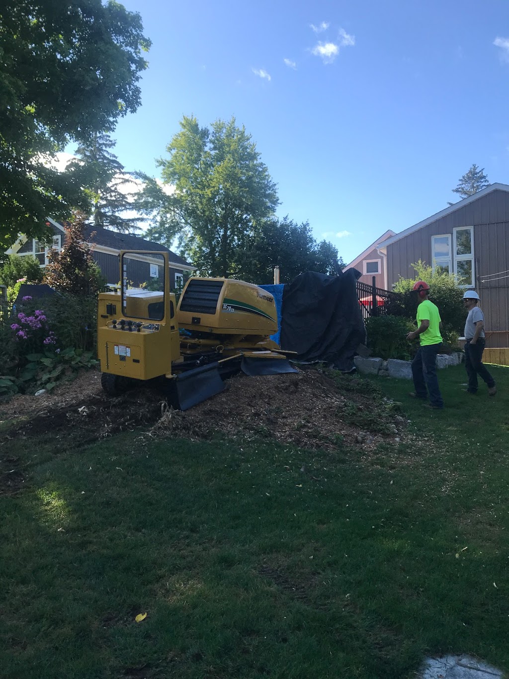 Complete Stump & Tree Removal Inc. | 457 Regency Crescent, Waterloo, ON N2T 1P2, Canada | Phone: (519) 590-8178