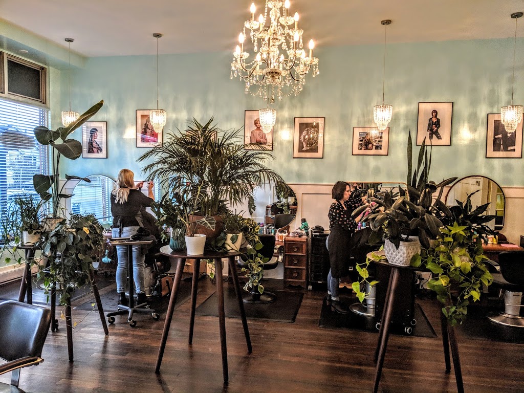 Shampoo Hair Bar | 1272 May St, Victoria, BC V8V 2T2, Canada | Phone: (250) 385-7837
