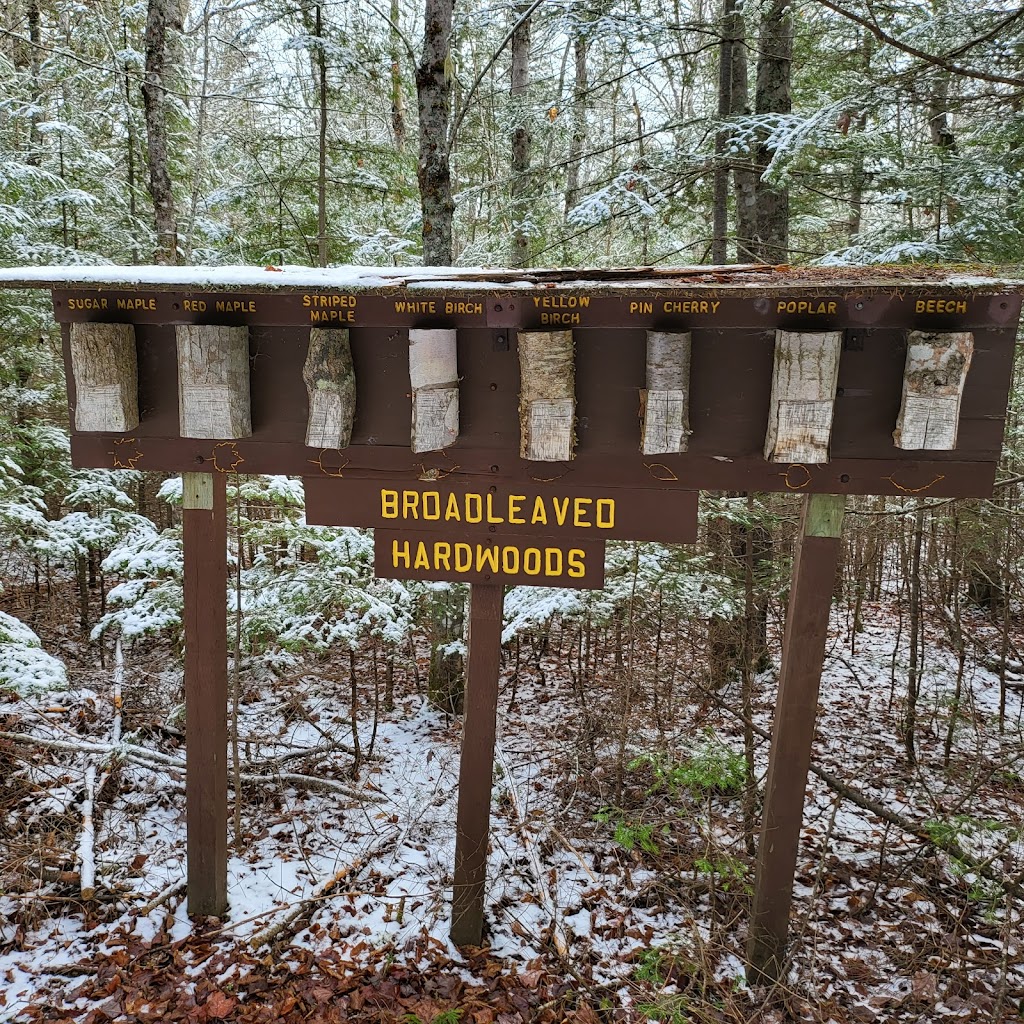 PEI Forestry: Brookvale Demo Woodlot | Brookvale Demo Woodlot Rd, North Wiltshire, PE C0A 1Y0, Canada | Phone: (902) 368-4700