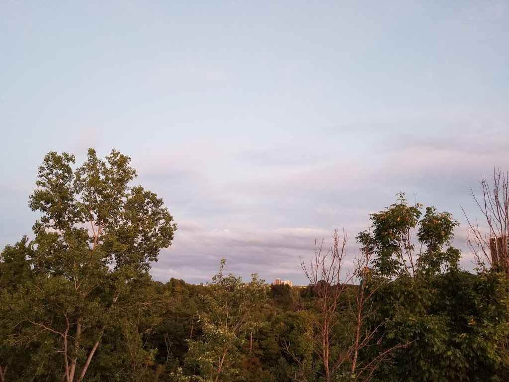Linkwood Lane Park | 10 Linkwood Ln, Toronto, ON M3C, Canada | Phone: (416) 338-4386