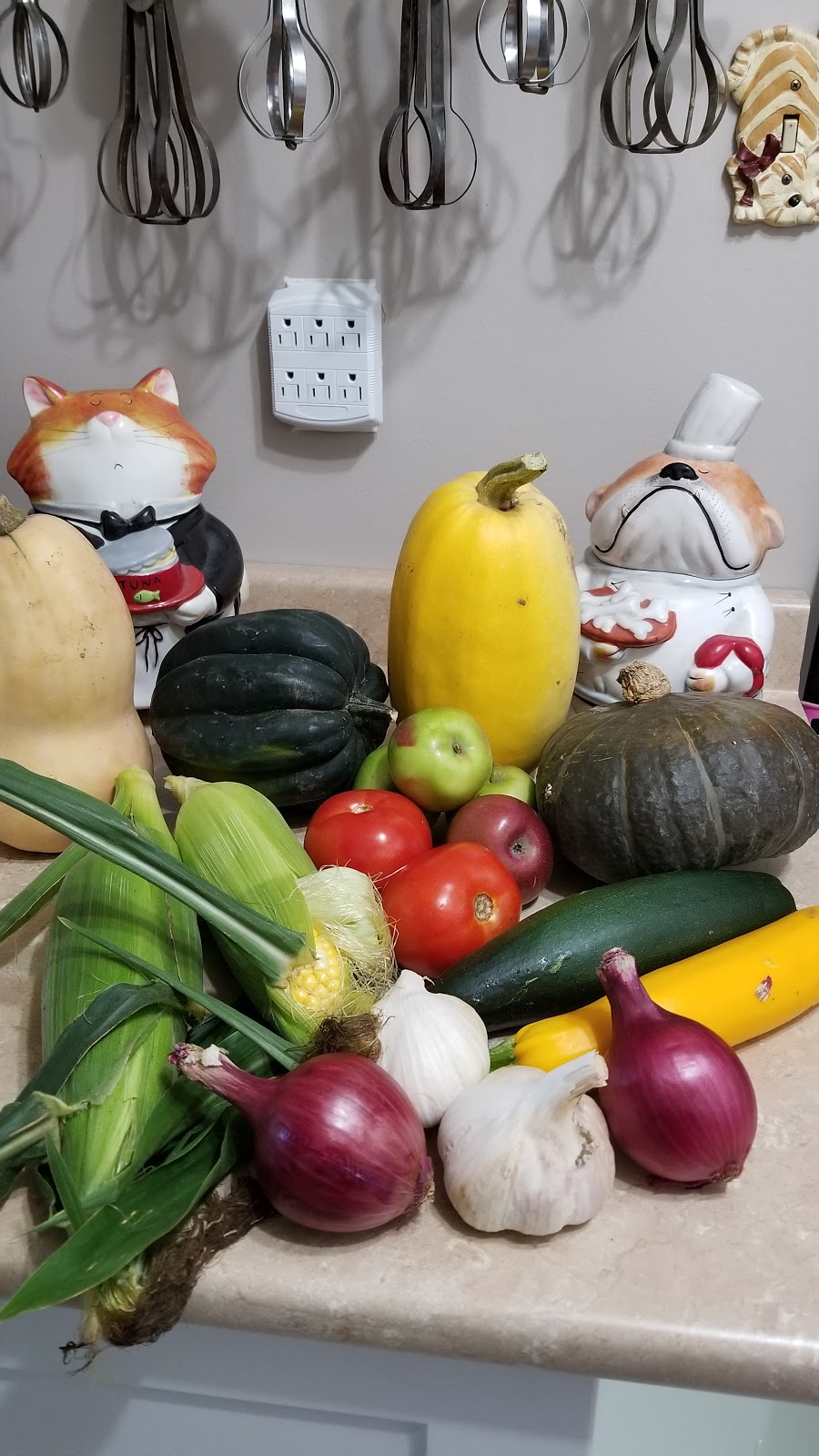 TJs Farm Fresh | 3010 Kossuth Rd, Cambridge, ON N3H 4R7, Canada | Phone: (519) 650-1007