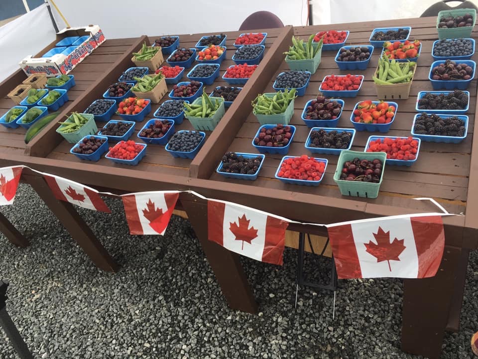 Farm Stand | 6698 Prest Rd, Chilliwack, BC V2R 4W4, Canada | Phone: (778) 829-7270