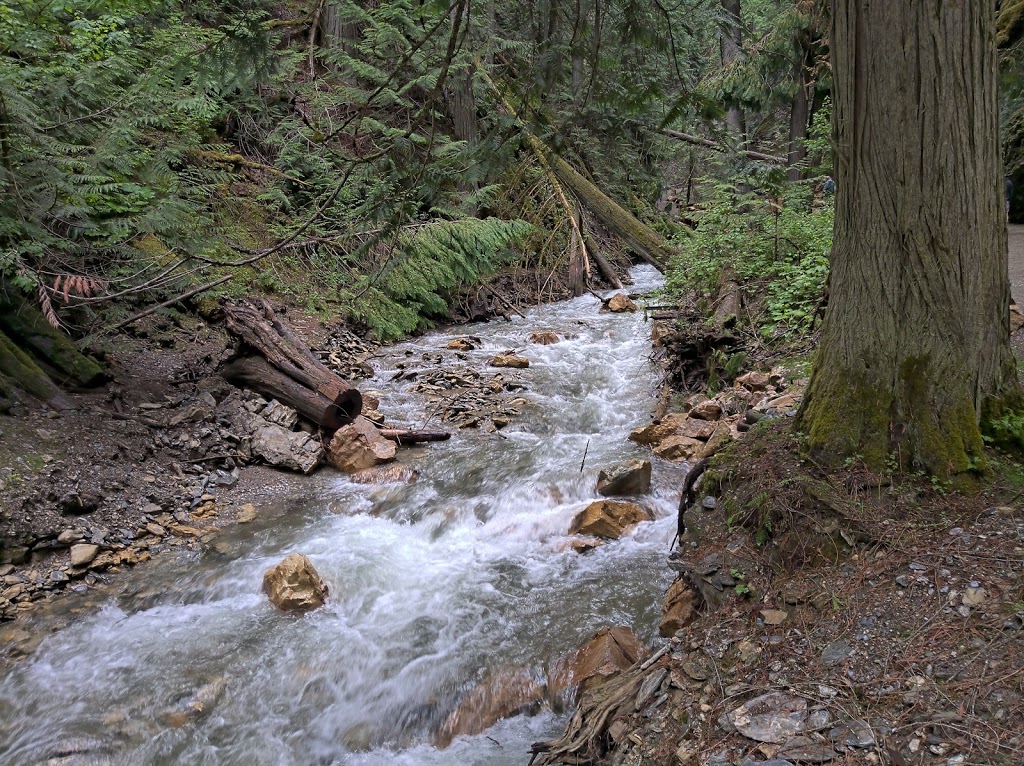 Margaret Falls | Sunnybrae-Canoe Point Rd, Columbia-Shuswap C, BC V0E 1K0, Canada | Phone: (800) 689-9025