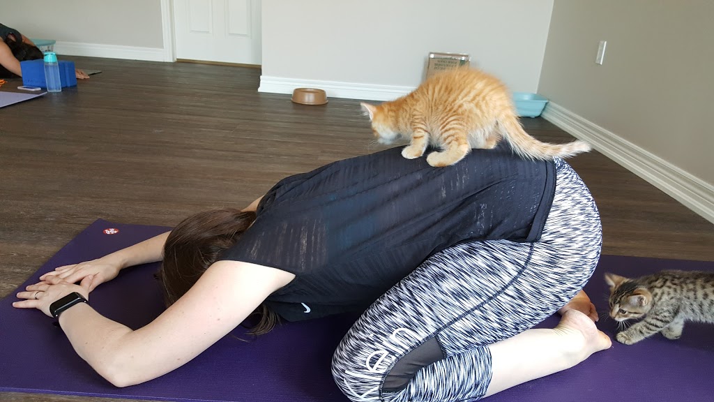 Grimsby Yoga & Wellness Studio | 442 Winston Rd, Grimsby, ON L3M 0H2, Canada | Phone: (289) 686-7475