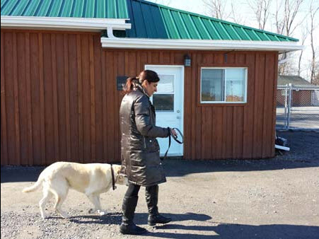 Dahan Canine Education Center | 407 Rue Dupont, Pincourt, QC J7V 5X2, Canada | Phone: (514) 779-2617