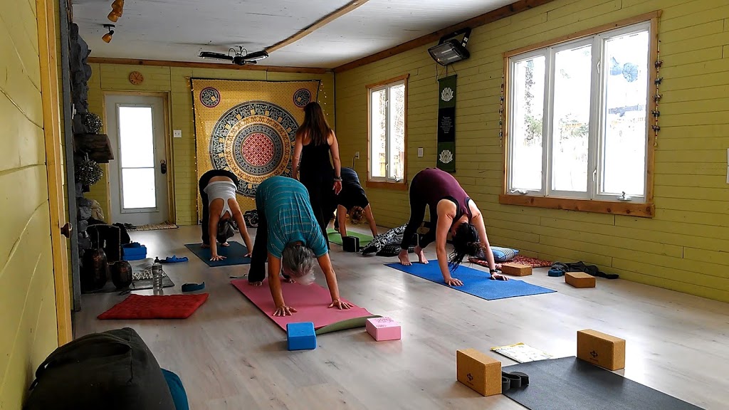 Yoga Fitko | 978 Boulevard de la Salette, Saint-Jérôme, QC J5L 2K1, Canada | Phone: (514) 887-9968