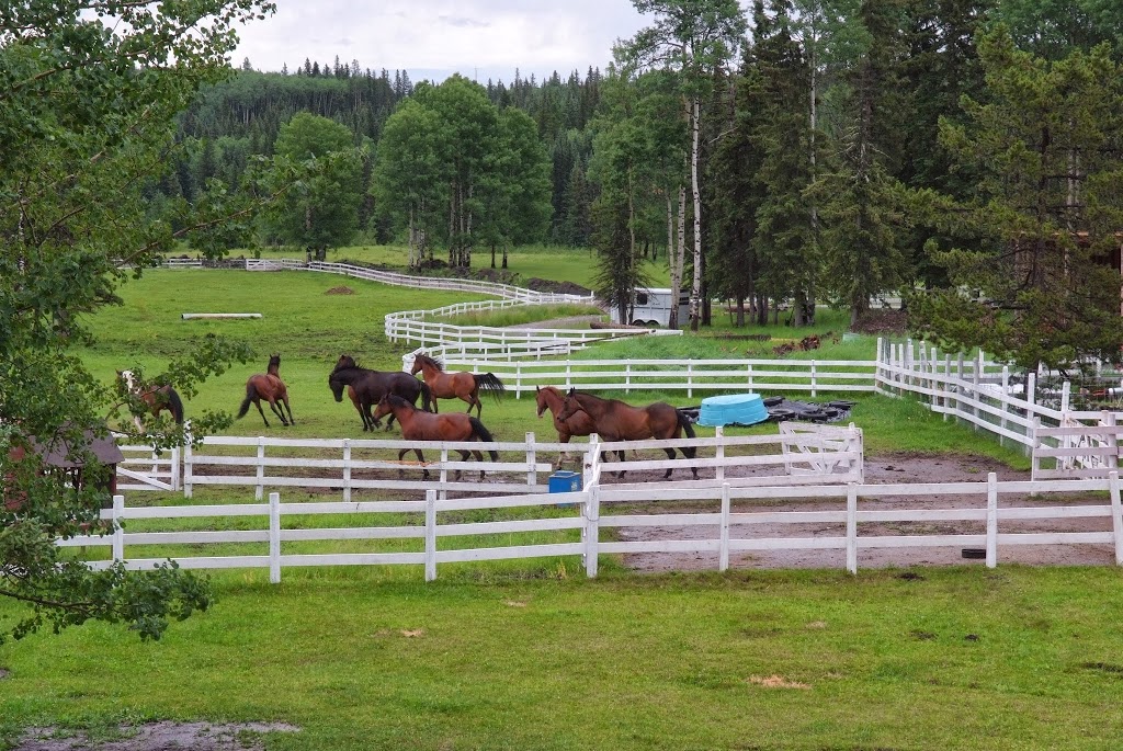 Folk Tree Lodge | 146212 HIghway 762, Bragg Creek, AB T0L 0K0, Canada | Phone: (403) 949-4120