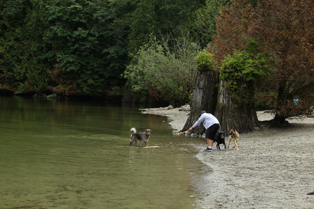Buntzen Lake Dog Park | Anmore, BC V3H, Canada