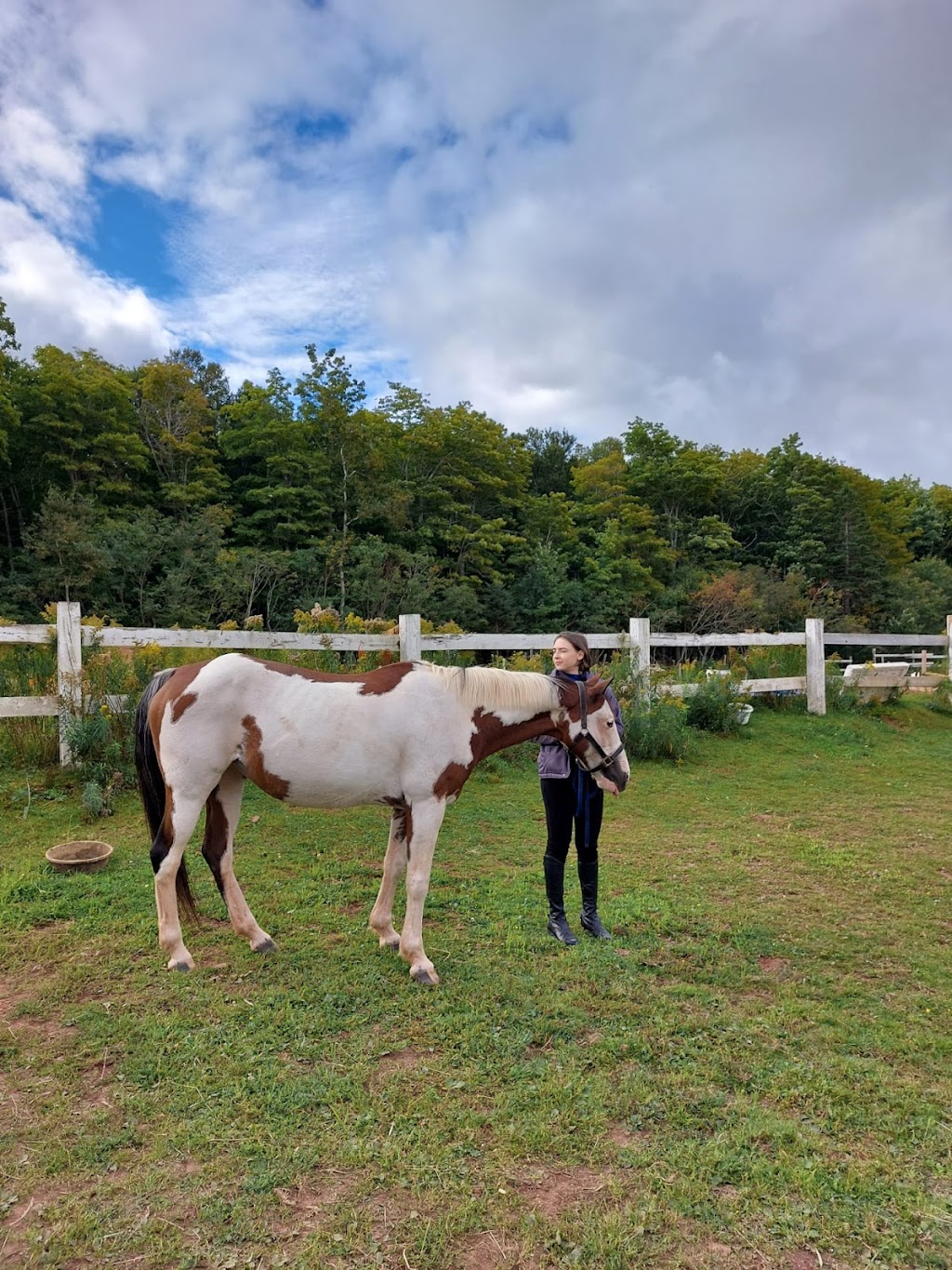Anchor Equestrian | 18399 PE-2, North Wiltshire, PE C0A 1Y0, Canada | Phone: (306) 460-0063