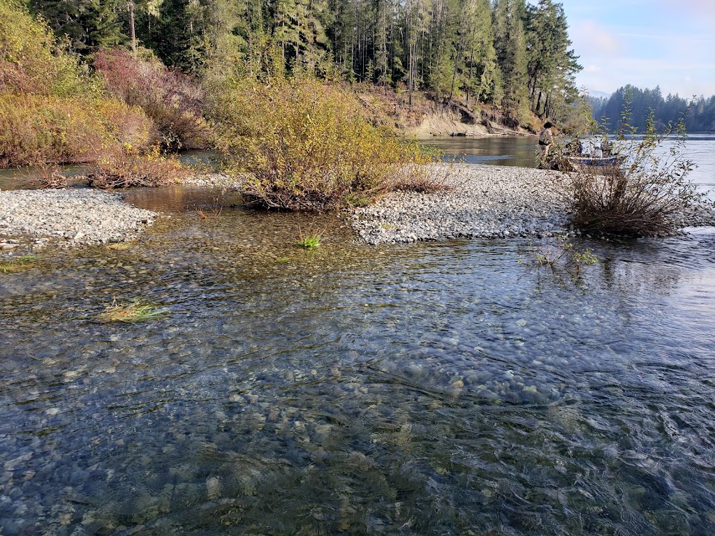 Robertson Creek Hatchery | 10333 Central Lake Rd, Port Alberni, BC V9Y 8Z1, Canada | Phone: (250) 724-6521