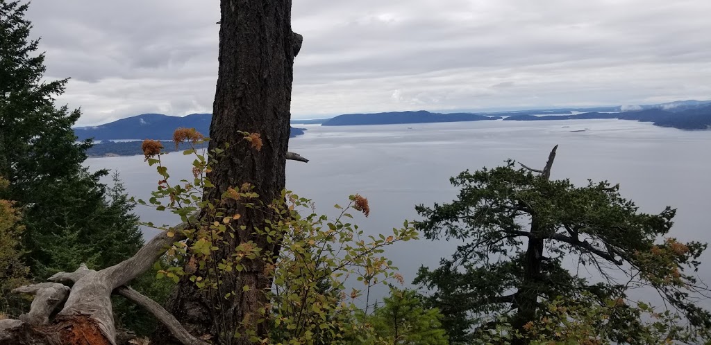 Baker Preserve Trail | Seacrest Dr, Lummi Island, WA 98262, USA