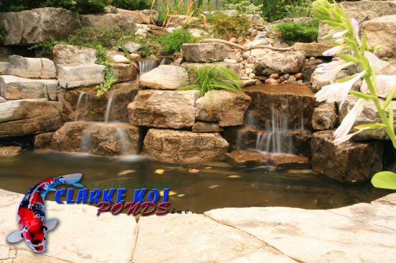 Clarke Koi Ponds inc | 763 Warden Ave, Scarborough, ON M1L 4B7, Canada | Phone: (416) 757-6328