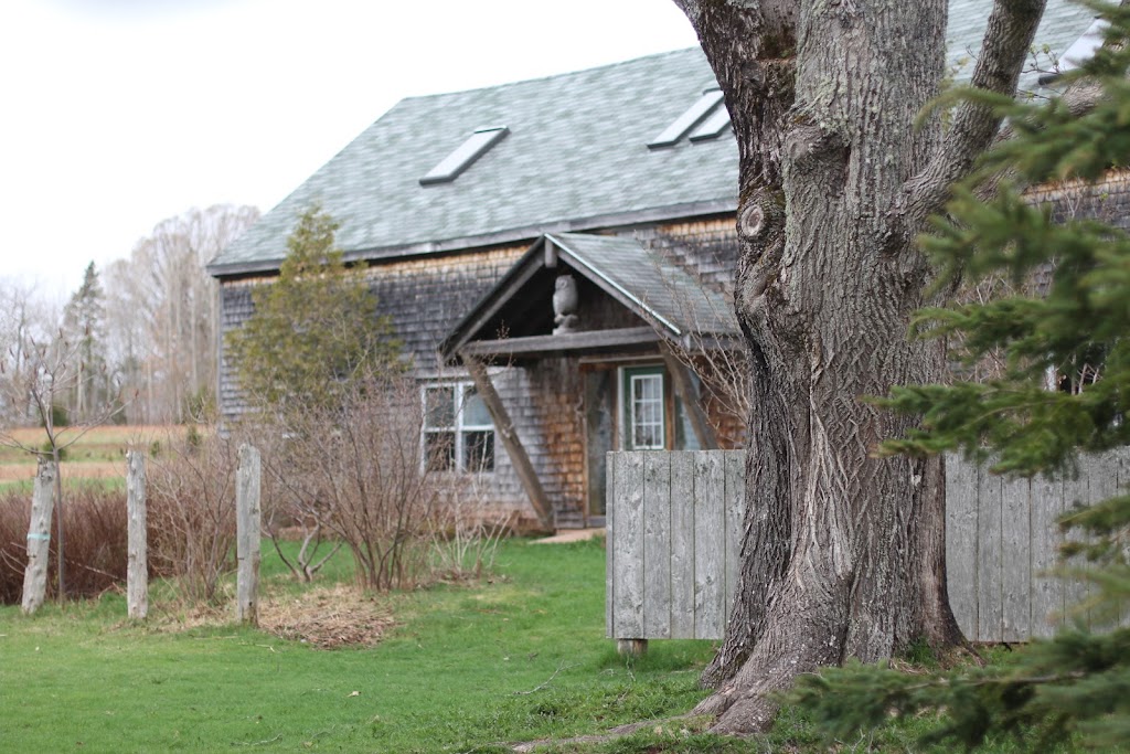 MacPhail Woods Forestry Project | 269 MacPhail Park Rd, Vernon Bridge, PE C0A 2E0, Canada | Phone: (902) 651-2575