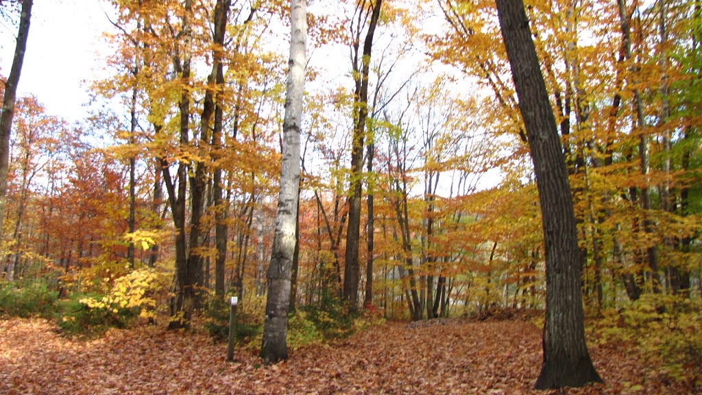 Via Batiscan | 200 Chemin du Barrage, Saint-Narcisse, QC G0X 2Y0, Canada | Phone: (418) 328-3599