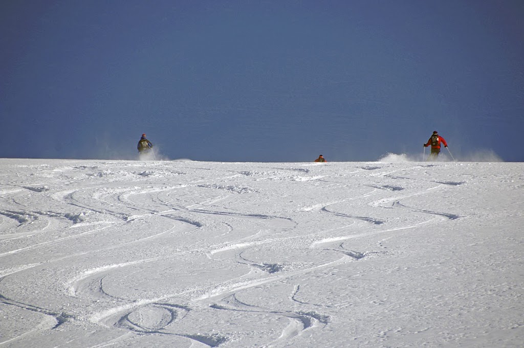 Tyax Heliskiing | 1 Tyaughton Lake Rd, Gold Bridge, BC V0K 1P0, Canada | Phone: (250) 238-2221