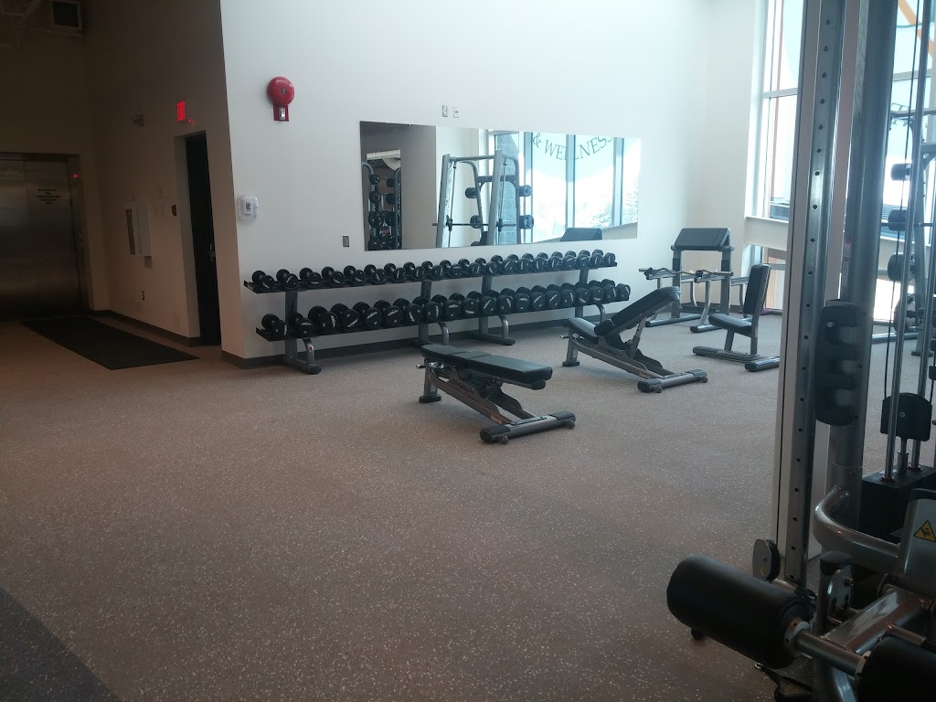 Rocky Arena Complex | 5332 50 St, Rocky Mountain House, AB T4T 1G7, Canada | Phone: (403) 845-3720